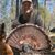Mitch Darty's profile image