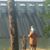 Meredith Dawn Schlegel Williamson's profile image