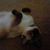 Barbara Kober's profile image