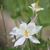 Gisela Flanigan's profile image