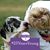 Debbie Butterfield McMurdie's profile image