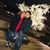 Yessika Valdez's profile image