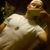 Jody L Boone's profile image