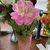 Melanie Whitt Thompson's profile image