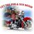 Renae Mabie's profile image