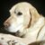 Charlotte Selenski's profile image