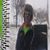 Rob Lancaster's profile image