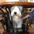 Ann McFerrin's profile image