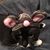 Jane Dugan's profile image