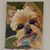 Amy Bendle Angelopoulos's profile image