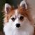 Janice Womack's profile image