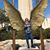 Nancy Lindl Kalis's profile image