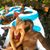 Clifton Patrick's profile image