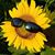 Lucille Martelli Orlandello's profile image