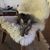 Kirklan Taber's profile image
