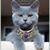 Therese Hagemann Green's profile image