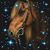 Carol Stoyle's profile image