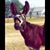 Don Smelley's profile image
