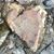 Debra Blanchard's profile image