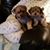 Margaret Solinger's profile image