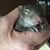 Anne Eddings's profile image