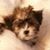 Marion Noble's profile image