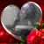 Ligeia Radley's profile image