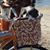 Teresa Buso Conyers's profile image