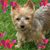 Kathy Ollom's profile image