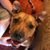 Amy Riou's profile image