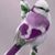 Kari Crull McCue's profile image