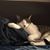 Angie Luckey's profile image