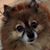 Karen Cox's profile image
