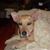 Ruth Rodriguez's profile image