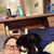 Vickie Gann Dorsett's profile image