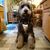 Jim Rinehimer's profile image