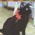 Marty Prezette's profile image