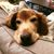 Amy Chelf Fournier's profile image