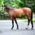 Diane Holtaway's profile image