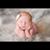 Diane Young Weatherford's profile image