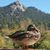 Gloria Melendez's profile image