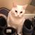 Connie Hass Wark's profile image