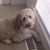 Tammy N Marcie Smith's profile image