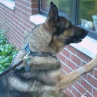 Jenn Holden's profile image