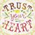 Sue Isken's profile image