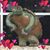 Karen Nugent's profile image