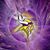 Michael Jones's profile image