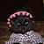 Adela Montalvo's profile image