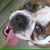 Celena Racheal Cantrell's profile image