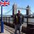 Matthew Kennedy Barton's profile image